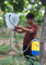 Farm Use High Quality Agricultural Grape Sprayer (LS-G001)