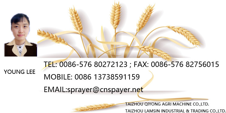 具有ISO9001 / Ce（TF-16A）的16升高强度不锈钢喷雾器