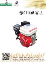 Plant Mate Agricultural Gasoline Engine with ISO9001/Ce (TF168FB)