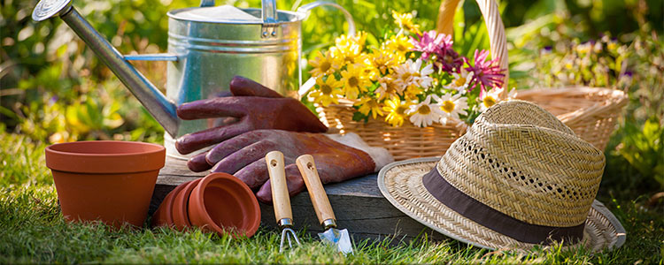 塑料花园喷壶花盆（2021-26）