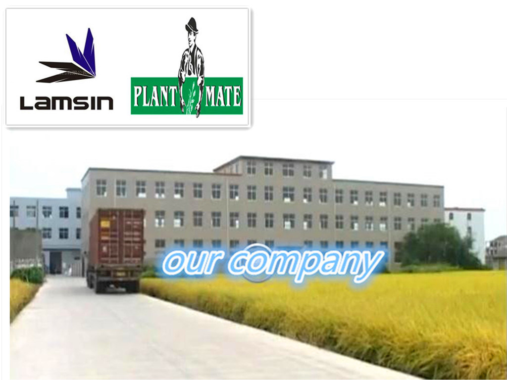 2合1背负式电动喷雾器16L，用于农业/花园/家庭（HX-D16C）