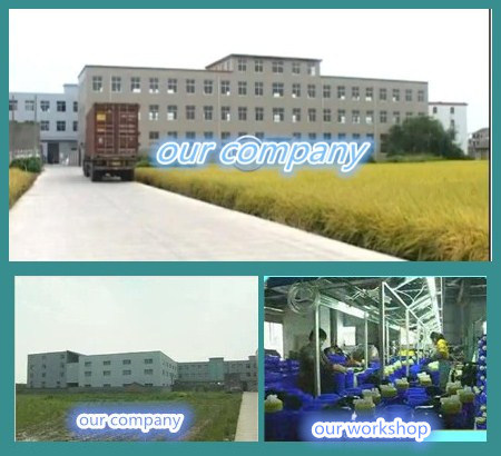 农业手动喷雾器/花园手动喷雾器/家用手动喷雾器（TF-02E）