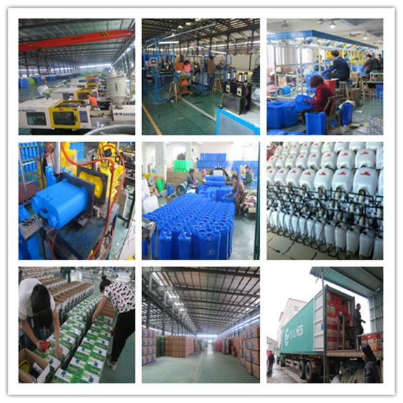 用于农业/花园/家庭的2合1背包喷雾器16L（HX-D16C）